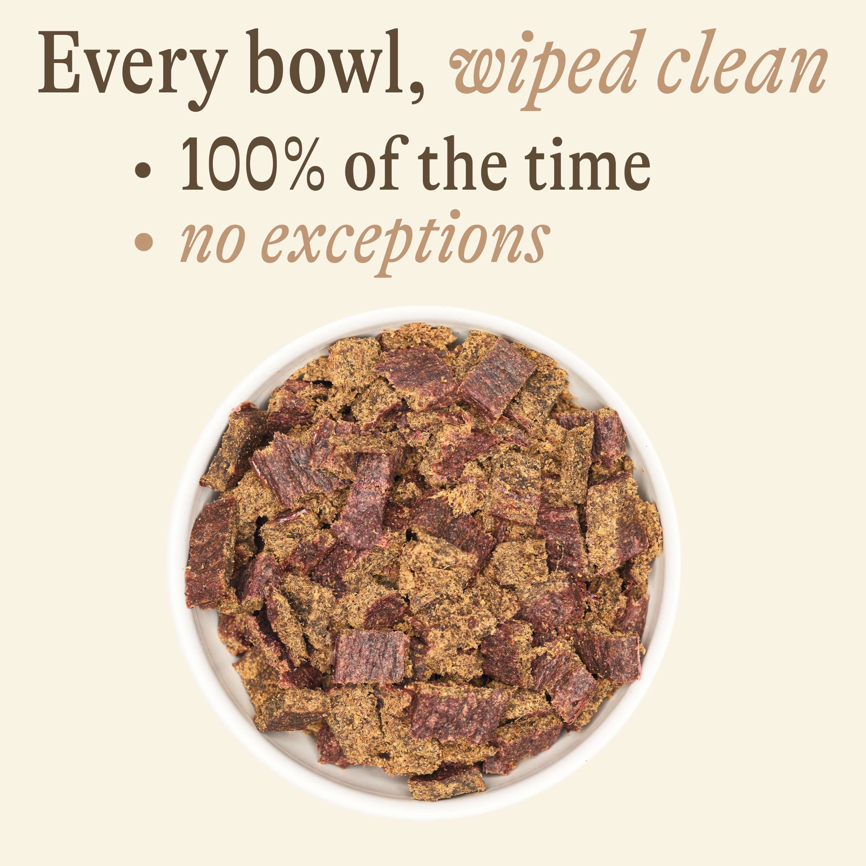 100% Air-Dried Beef Recipe