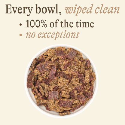 100% Air-Dried Beef Recipe