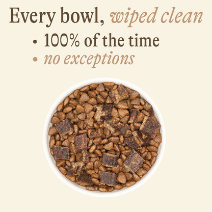 Grain-Free Air-Dried Blend: Salmon &amp; Chickpea