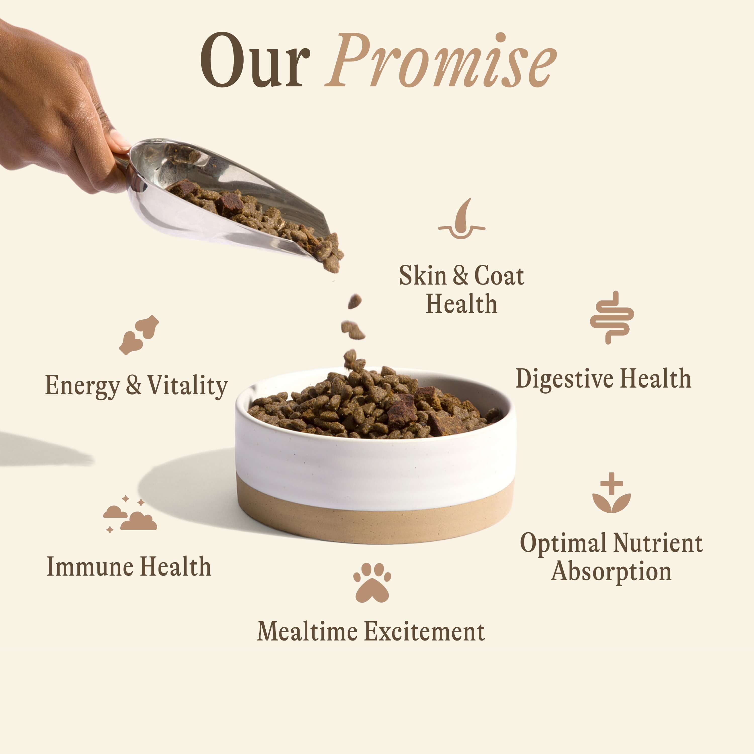 Grain-Free Air-Dried Blend: Salmon &amp; Chickpea