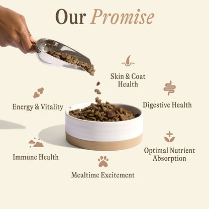 Grain-Free Air-Dried Blend: Salmon &amp; Chickpea