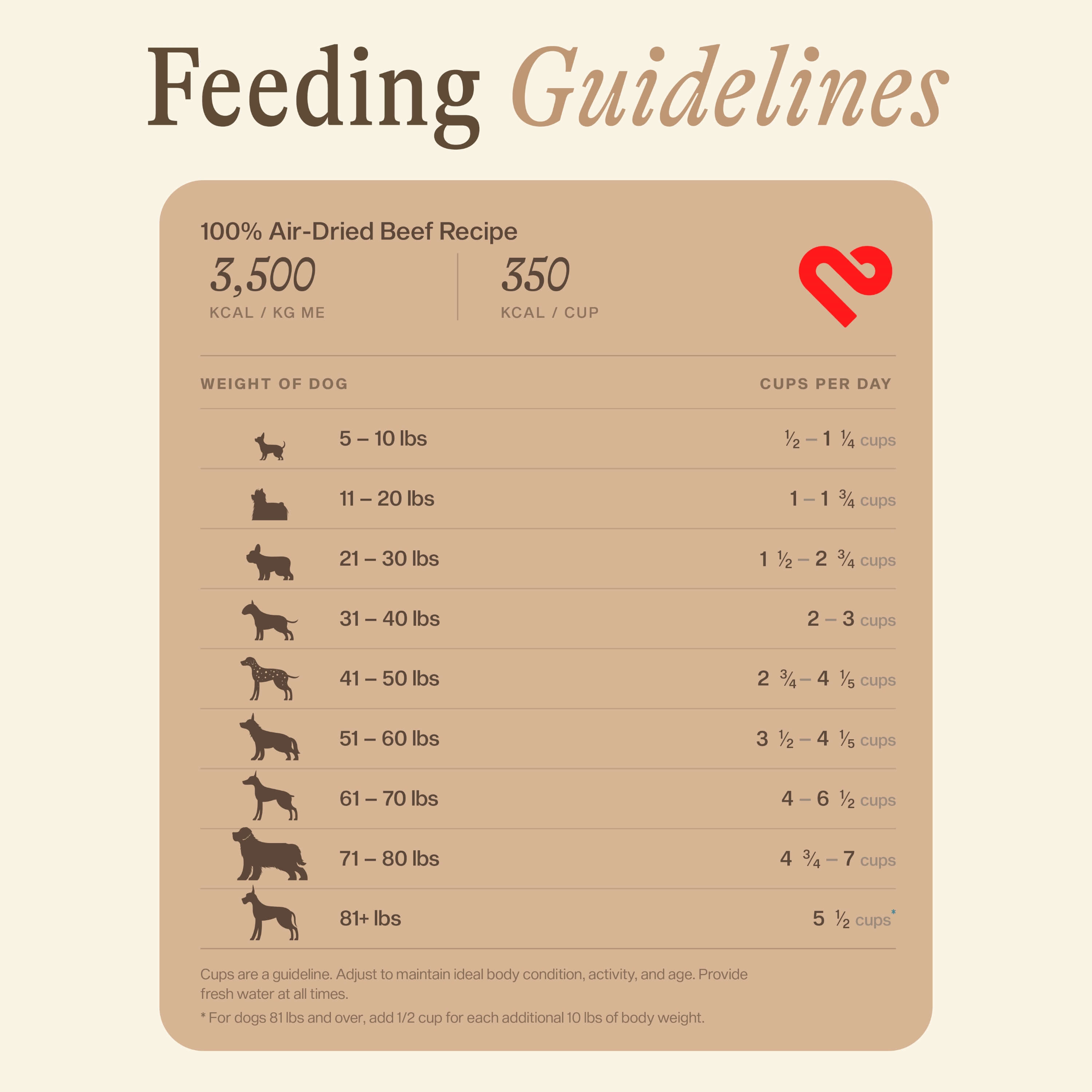 100% Air-Dried Beef Recipe