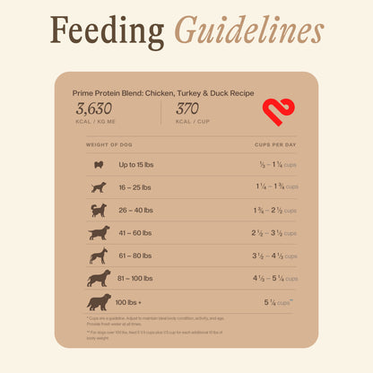 Prime Protein Blend: Chicken, Turkey &amp; Duck Recipe