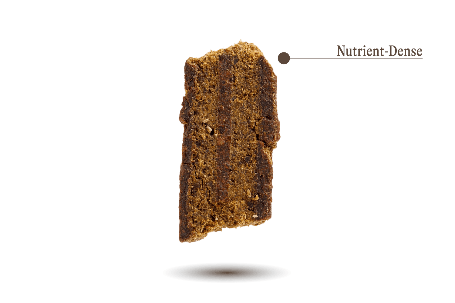 air-dried piece of dog food with call-out of nutrient dense.